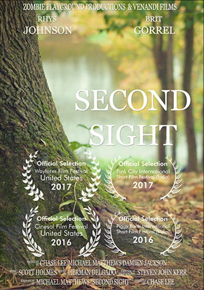 Póster de Second Sight