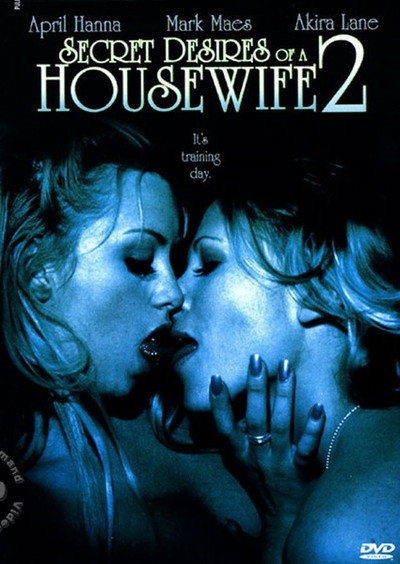 Póster de Secret Desires of a Housewife 2