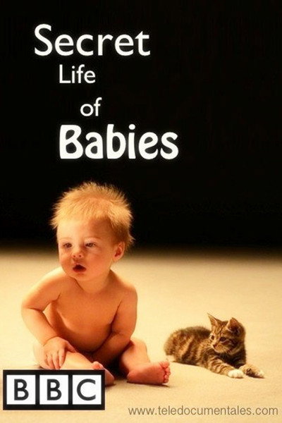 Póster de Secret Life of Babies