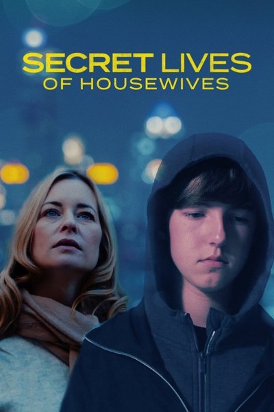 Póster de Secret Lives of Housewives