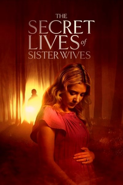 Póster de Secret Lives of Sister Wives