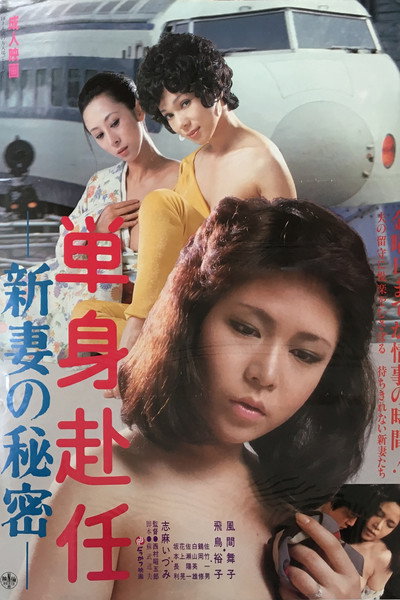 Póster de Secret of Newlywed Wife