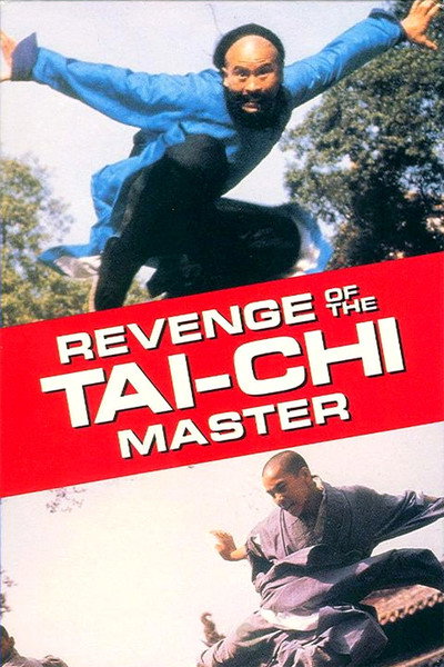 Póster de Secret of Tai Chi