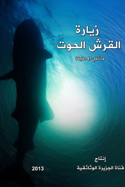 Póster de Secret Ways of a Whale Shark
