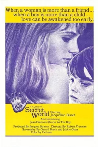 Póster de Secret World