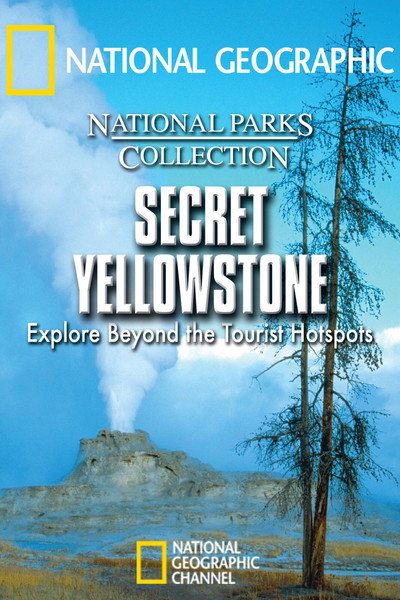 Póster de Secret Yellowstone