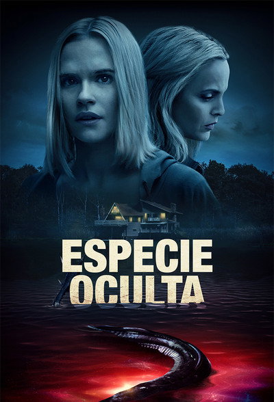Póster de Secreto Oscuro