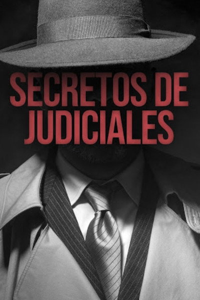 Póster de Secretos de judiciales
