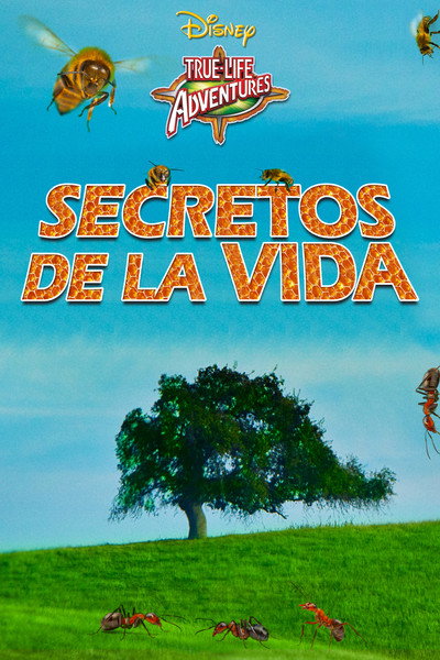 Póster de Secretos de la vida