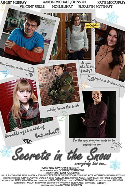 Póster de Secrets in the Snow