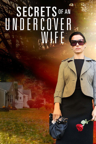 Póster de Secrets of an Undercover Wife