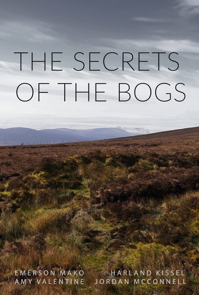 Póster de Secrets of the Bogs
