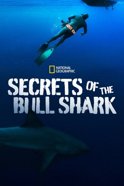 Póster de Secrets of the Bull Shark