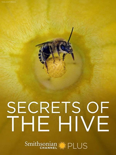Póster de Secrets of the Hive