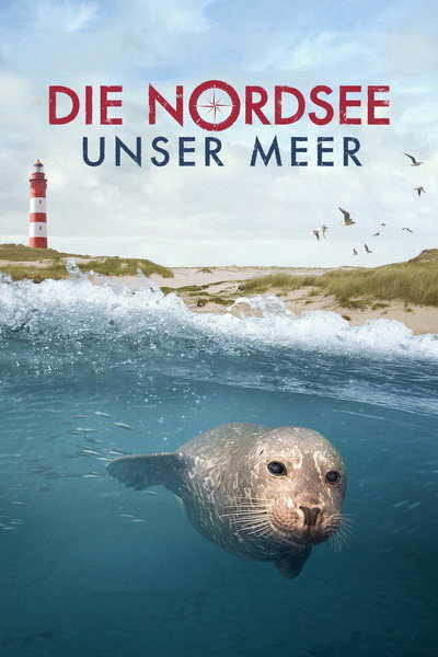 Póster de Secrets of the North Sea