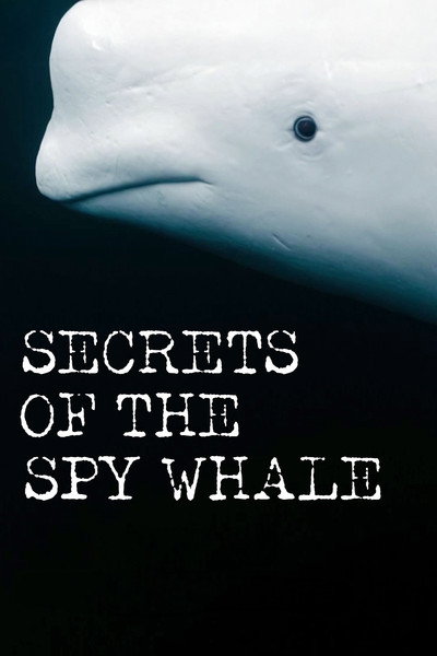 Póster de Secrets of the Spy Whale