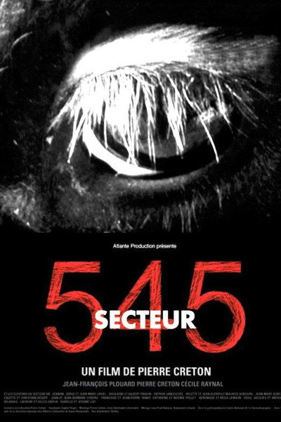Póster de Secteur 545