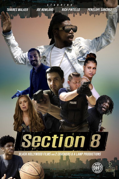 Póster de Section 8