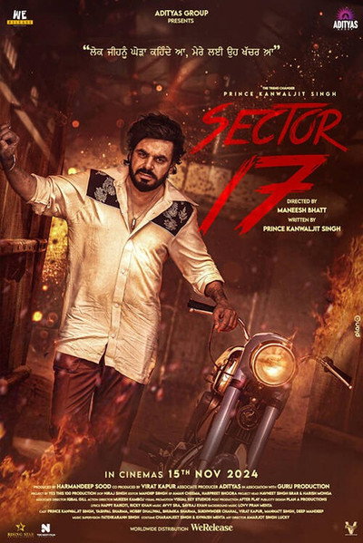 Póster de Sector 17