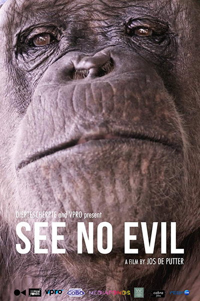 Póster de See No Evil