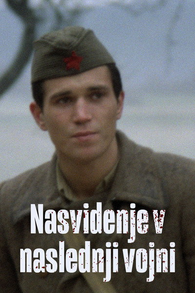 Póster de See You in the Next War