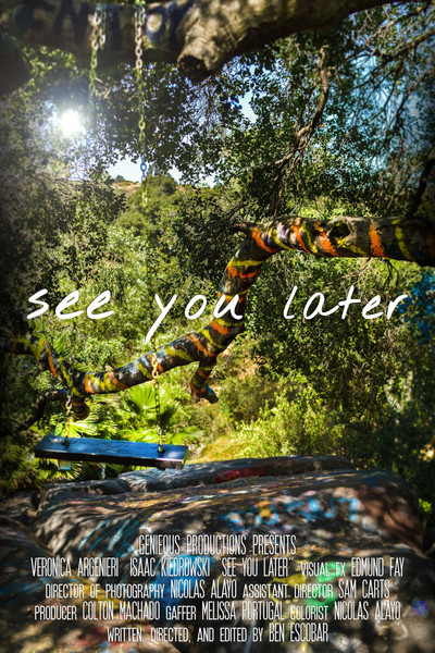 Póster de See You Later