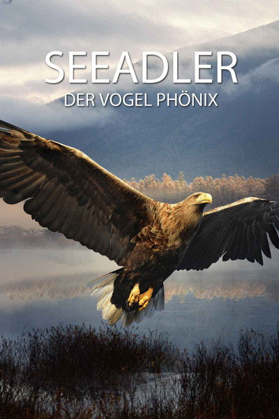 Póster de Seeadler: Der Vogel Phönix