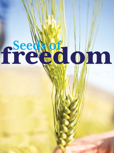 Póster de Seeds of Freedom