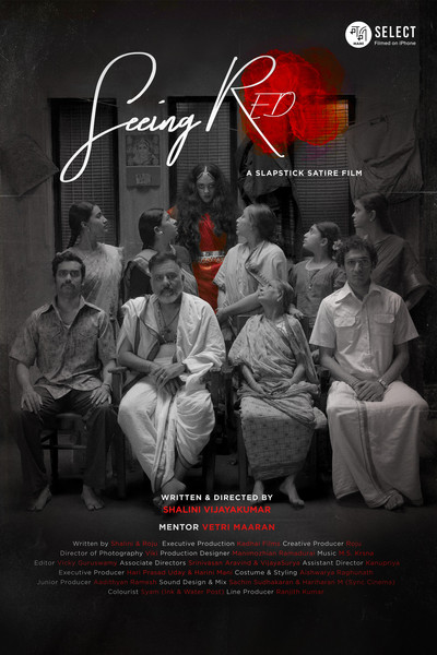 Póster de Seeing Red