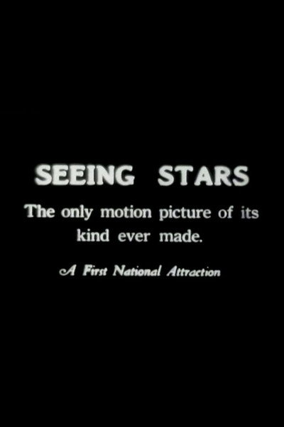 Póster de Seeing Stars