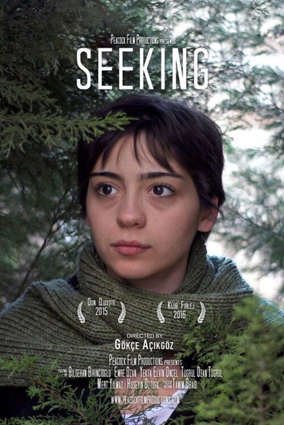 Póster de Seeking