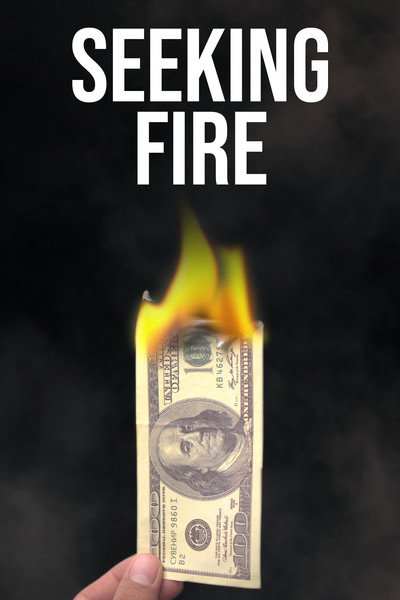Póster de Seeking Fire