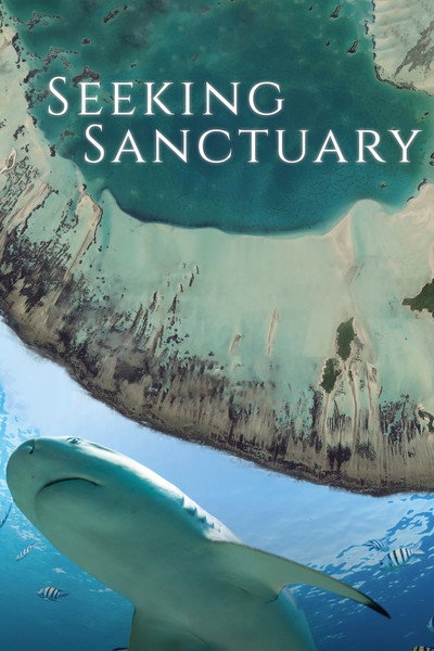 Póster de Seeking Sanctuary