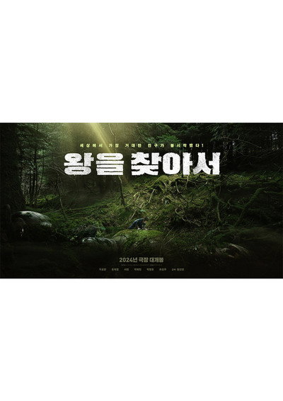 Póster de Seeking the King