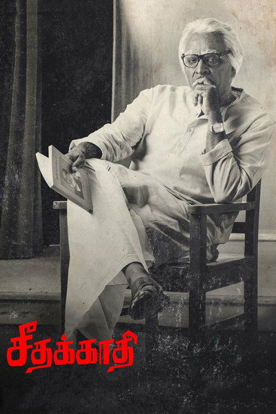 Póster de Seethakaathi