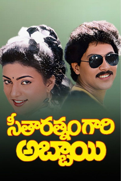 Póster de Seetharathnamgari Abbayi