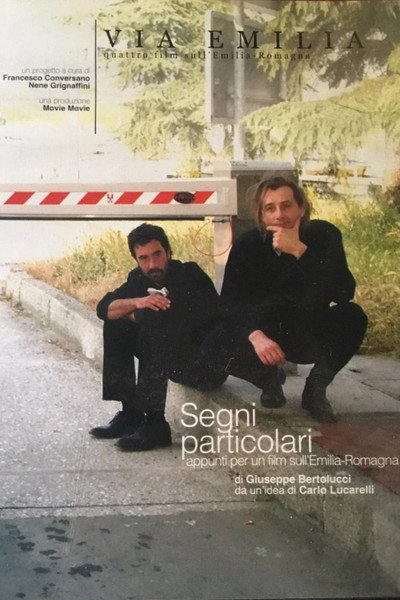 Póster de Segni particolari