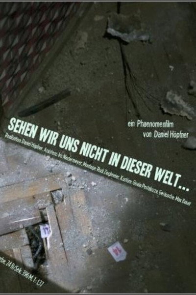 Póster de Sehen wir uns nicht in dieser Welt...