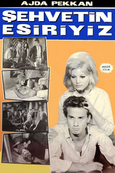 Póster de Sehvetin esiriyiz