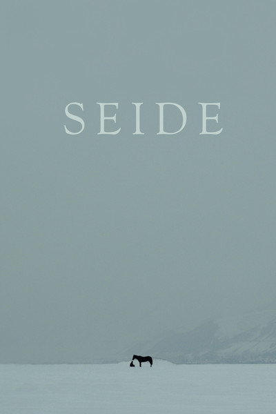 Póster de Seide