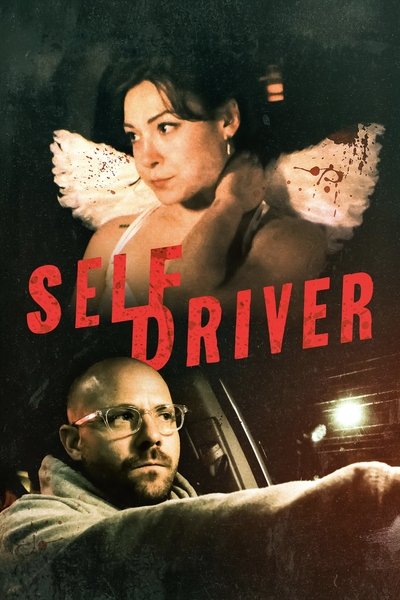 Póster de Self Driver