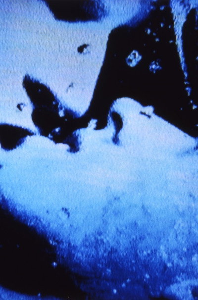 Póster de Self-Portrait in 23 Rounds: A Chapter in David Wojnarowicz's Life, 1989-1991