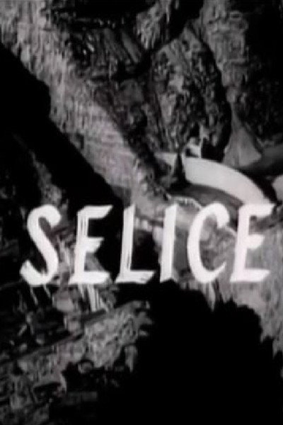 Póster de Selice
