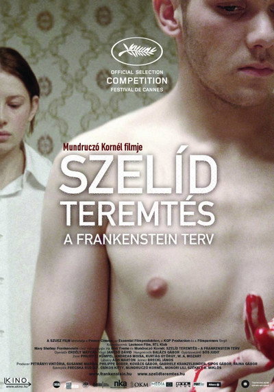 Póster de Semilla de maldad (Tender Son)