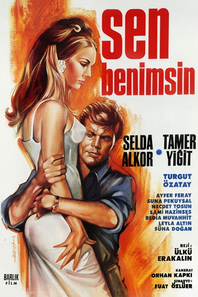 Póster de Sen benimsin