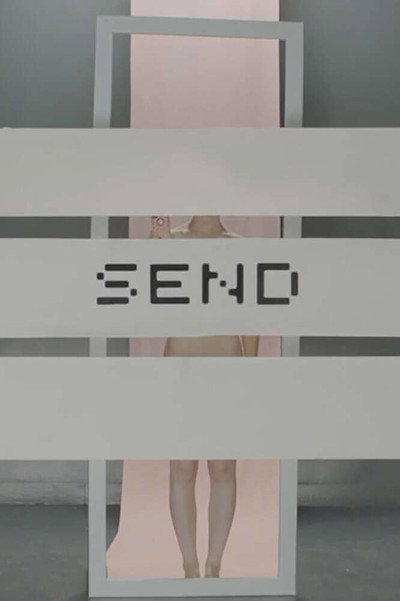 Póster de Send