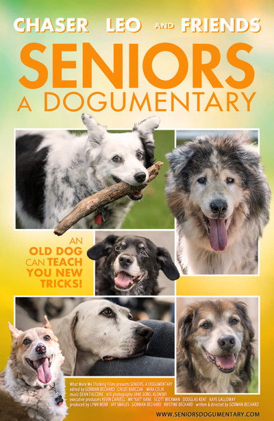 Póster de Seniors, a dogumentary