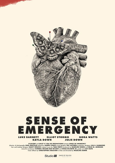 Póster de Sense of Emergency