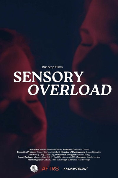 Póster de Sensory Overload