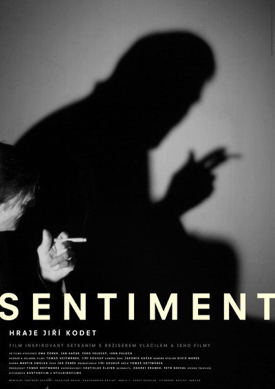 Póster de Sentiment
